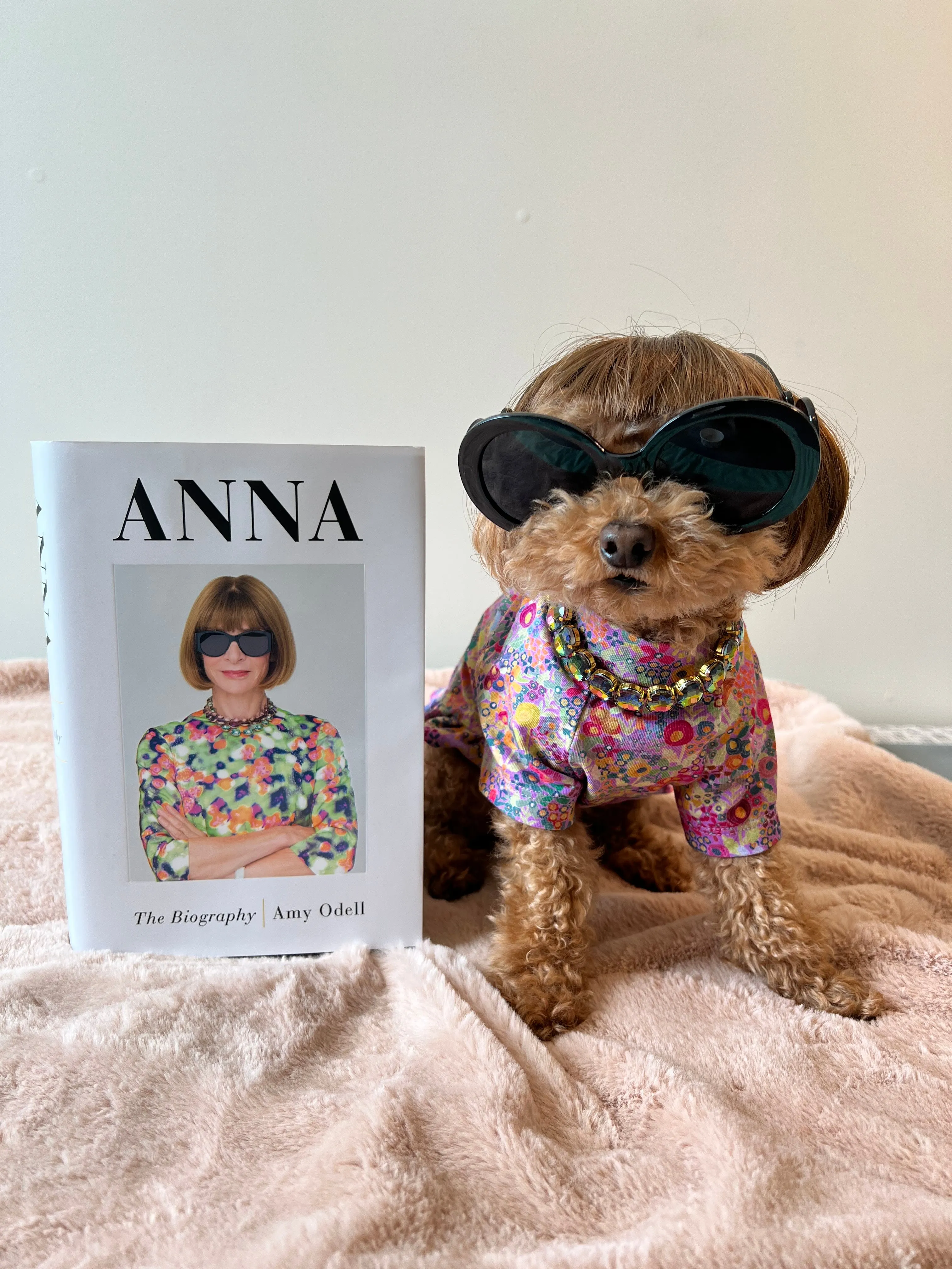 Unique Round Glasses for Girls